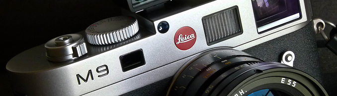 still life photography